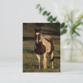 Bob Langrish | Permanente verf Briefkaart (Staand voorkant)