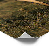 Bob Langrish | Permanente verf Poster (Hoek)