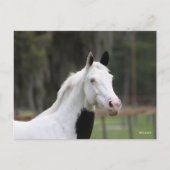 Bob Langrish | Pijngaarden met paardenbloem Briefkaart (Voorkant)