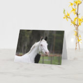 Bob Langrish | Pijngaarden met paardenbloem Kaart (Gele Bloem)