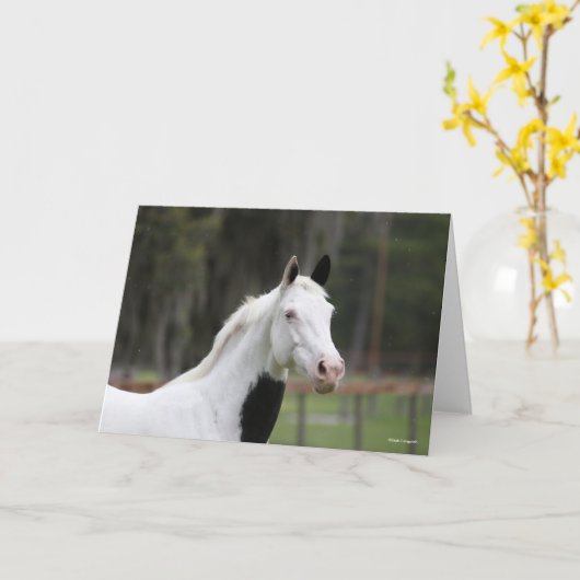 Bob Langrish | Pijngaarden met paardenbloem Kaart (Gele Bloem)