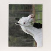 Bob Langrish | Pijngaarden met paardenbloem Legpuzzel (Verticaal)