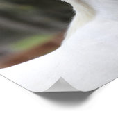 Bob Langrish | Pijngaarden met paardenbloem Poster (Hoek)