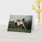 Bob Langrish | Pinto Arab Mane and Tail stromend Kaart (Gele Bloem)