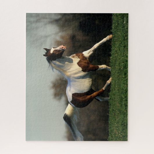 Bob Langrish | Pinto Arab Mane and Tail stromend Legpuzzel (Verticaal)