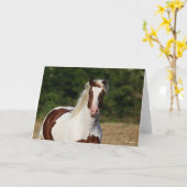 Bob Langrish | Pinto Haflinger Headshot Kaart (Gele Bloem)