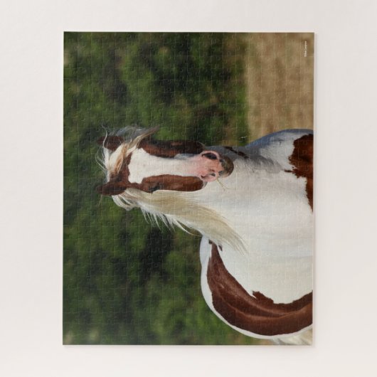 Bob Langrish | Pinto Haflinger Headshot Legpuzzel (Verticaal)