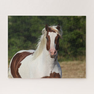 Bob Langrish Pinto Haflinger Headshot Legpuzzel