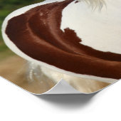 Bob Langrish | Pinto Haflinger Headshot Poster (Hoek)