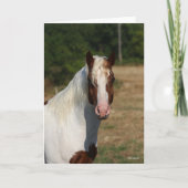 Bob Langrish | Pinto Haflinger Horse Headshot Kaart (Voorkant)