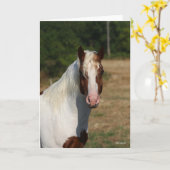 Bob Langrish | Pinto Haflinger Horse Headshot Kaart (Gele Bloem)