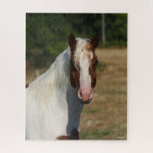Bob Langrish | Pinto Haflinger Horse Headshot Legpuzzel (Verticaal)
