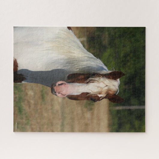 Bob Langrish | Pinto Haflinger Horse Headshot Legpuzzel (Horizontaal)