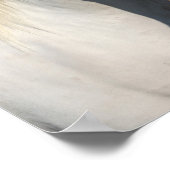 Bob Langrish | Pinto Haflinger Horse Headshot Poster (Hoek)