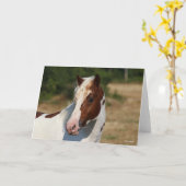 Bob Langrish | Pinto Haflinger Stallion Headshot Kaart (Gele Bloem)
