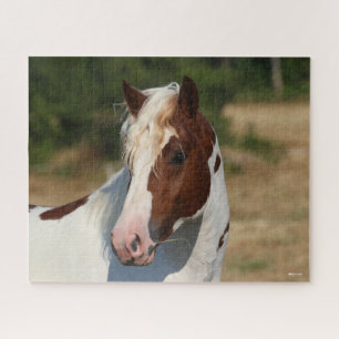 Bob Langrish Pinto Haflinger Stallion Headshot Legpuzzel
