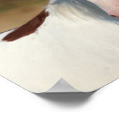 Bob Langrish | Pinto Haflinger Stallion Headshot Poster (Hoek)