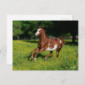 Bob Langrish | Pinto Oldenburg Running in bloemen Briefkaart (Voorkant / Achterkant)