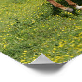 Bob Langrish | Pinto Oldenburg Running in bloemen Poster (Hoek)