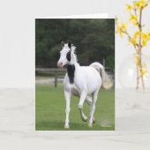 Bob Langrish | Pinto Warmbloed Kaart (Gele Bloem)