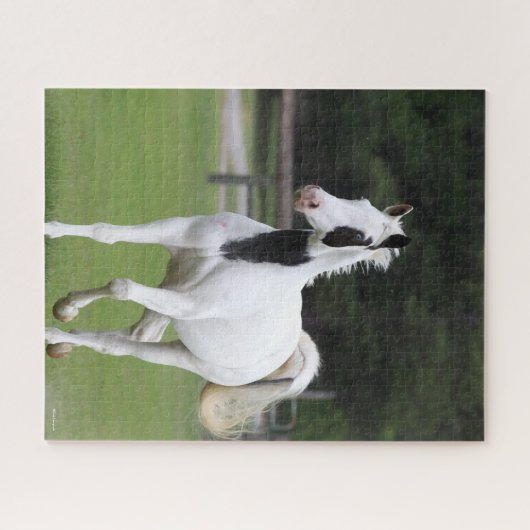 Bob Langrish | Pinto Warmbloed Legpuzzel (Horizontaal)