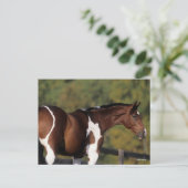 Bob Langrish | Pinto Warmblood Standing Headshot Briefkaart (Staand voorkant)