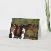 Bob Langrish | Pinto Warmblood Standing Headshot Kaart (Voorkant)