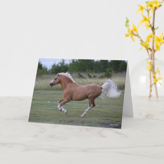 Bob Langrish | Pony Palomino Welsh Running Kaart (Gele Bloem)