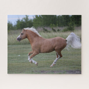 Bob Langrish   Pony Palomino Welsh Running Legpuzzel
