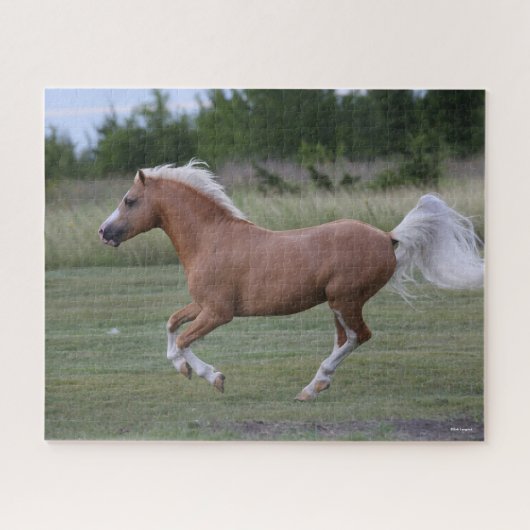 Bob Langrish | Pony Palomino Welsh Running Legpuzzel (Horizontaal)