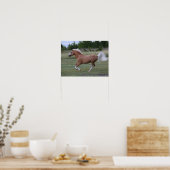 Bob Langrish | Pony Palomino Welsh Running Poster (Keuken)