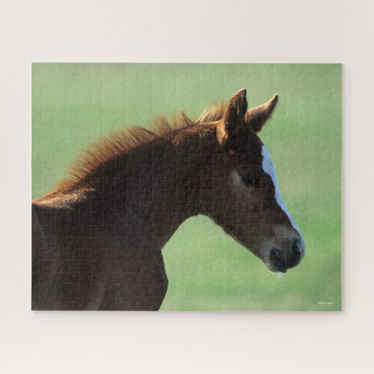 Bob Langrish | Quarter Horse Foal Backlit Legpuzzel (Horizontaal)