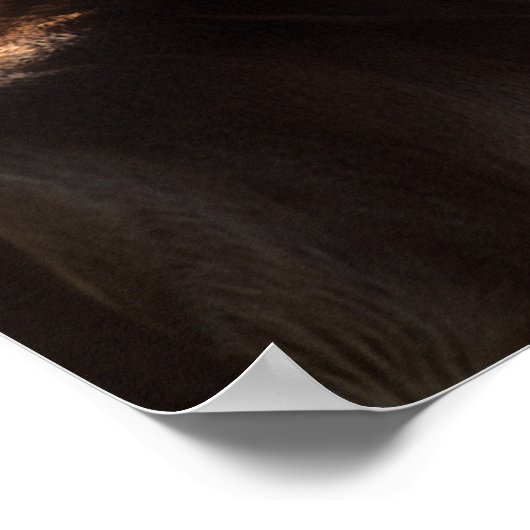 Bob Langrish | Quarter Horse Foal Backlit Poster (Hoek)