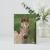 Bob Langrish | Quarter Horse Foal Headshot Briefkaart (Staand voorkant)