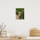 Bob Langrish | Quarter Horse Foal Headshot Poster (Keuken)