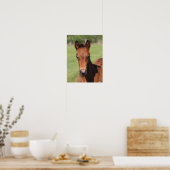 Bob Langrish | Quarter Horse Foal Headshot Poster (Keuken)