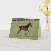 Bob Langrish | Quarter Horse Foal Standing Leg Up Kaart (Gele Bloem)