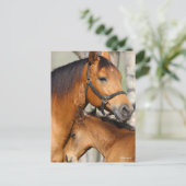 Bob Langrish Quarter Horse Mare and Foal Headshot Briefkaart (Staand voorkant)