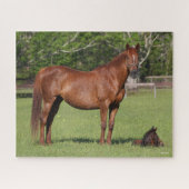 Bob Langrish Quarter Horse Mare and Foal Standing Legpuzzel (Horizontaal)