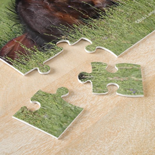 Bob Langrish Quarter Horse Mare and Foal Standing Legpuzzel (Zijkant)