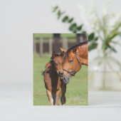 Bob Langrish Quarter Horse Mare en Foal Cuddling Briefkaart (Staand voorkant)