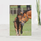 Bob Langrish Quarter Horse Mare en Foal Cuddling Kaart (Voorkant)