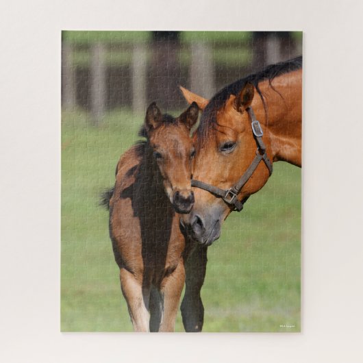 Bob Langrish Quarter Horse Mare en Foal Cuddling Legpuzzel (Verticaal)