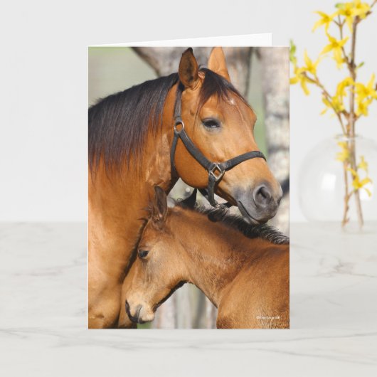 Bob Langrish Quarter Horse Mare en Foal Headshot Kaart (Gele Bloem)