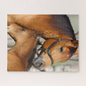 Bob Langrish Quarter Horse Mare en Foal Headshot Legpuzzel (Horizontaal)