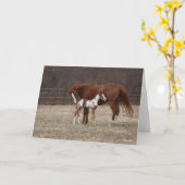 Bob Langrish | Quarter Horse Mare en Paint Foal Kaart (Gele Bloem)