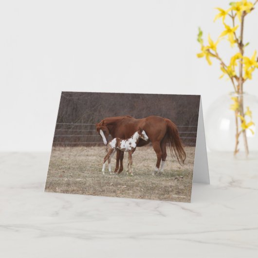 Bob Langrish | Quarter Horse Mare en Paint Foal Kaart (Gele Bloem)