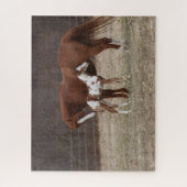 Bob Langrish | Quarter Horse Mare en Paint Foal Legpuzzel (Verticaal)