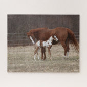 Bob Langrish | Quarter Horse Mare en Paint Foal Legpuzzel (Horizontaal)