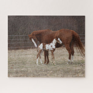 Bob Langrish   Quarter Horse Mare en Paint Foal Legpuzzel